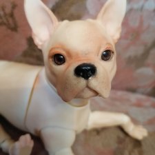 Собачка бжд Бостон -терьер