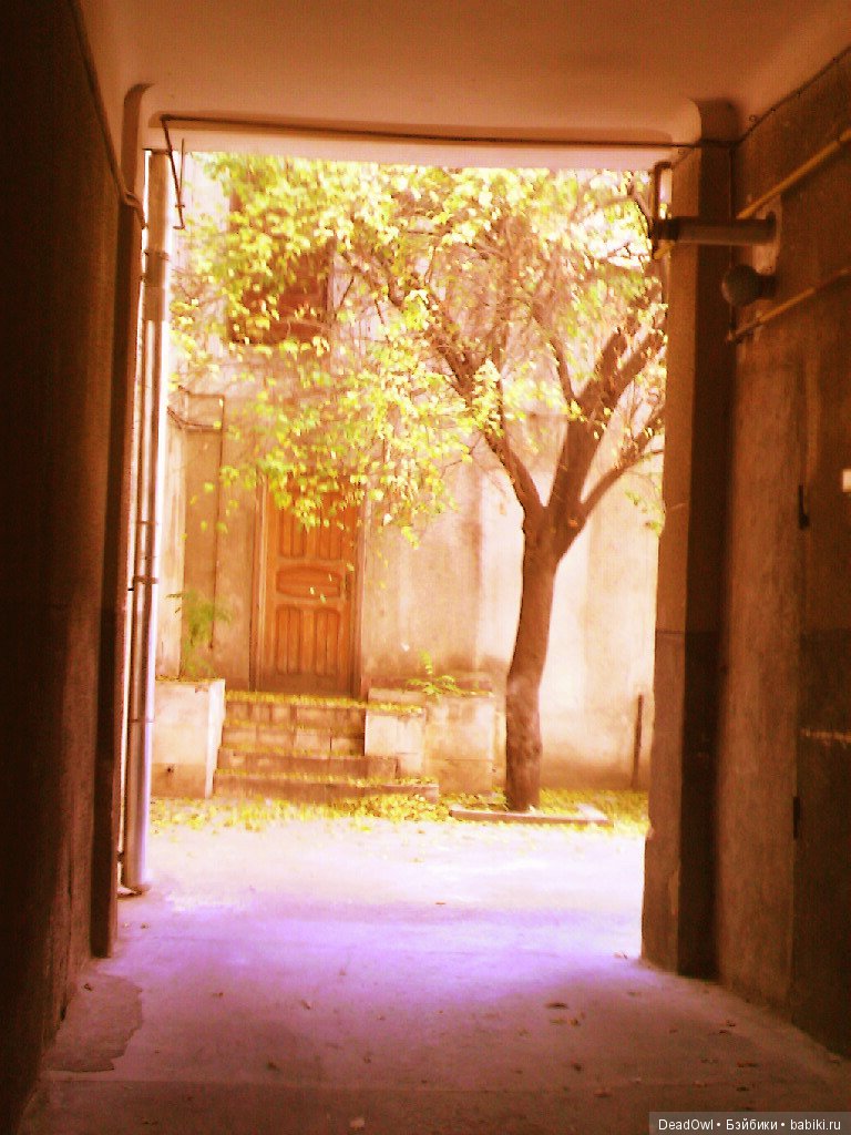 В глубине старых дворов — Куклы Doll Chateau (Доллшато): BJD (БЖД)