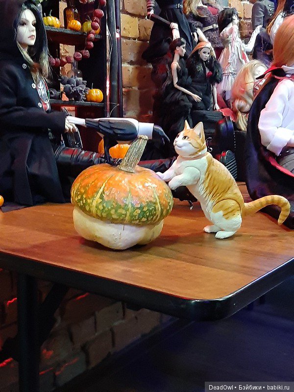 Хэллоуинская вечеринка: тыквы, звери, птицы и духи