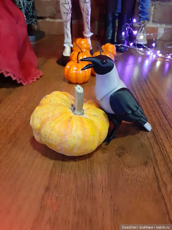 Хэллоуинская вечеринка: тыквы, звери, птицы и духи (фото 2)