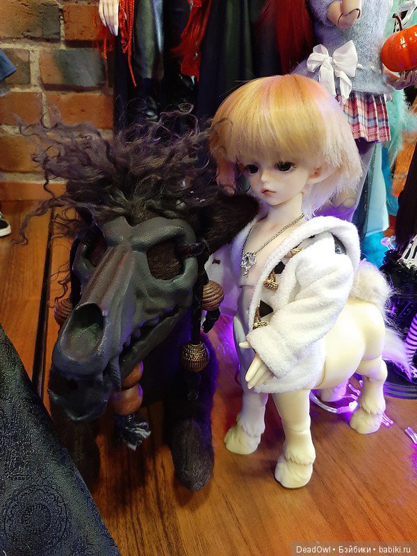 Хэллоуинская вечеринка: тыквы, звери, птицы и духи (фото 9)