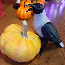 Хэллоуинская вечеринка: тыквы, звери, птицы и духи