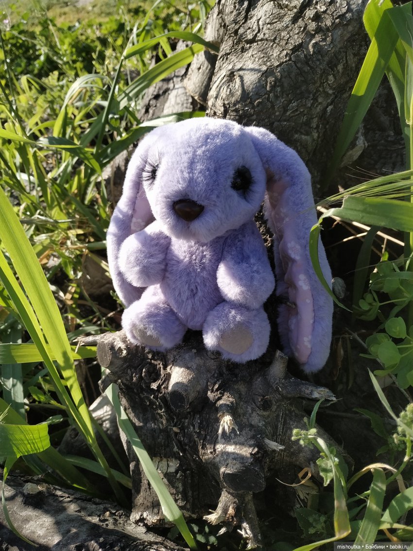 Зайчик с красивой шёрсткой (фото 4)