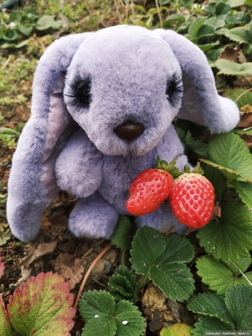 Зайчик с красивой шёрсткой (фото 5)