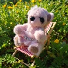 Розовая мишка