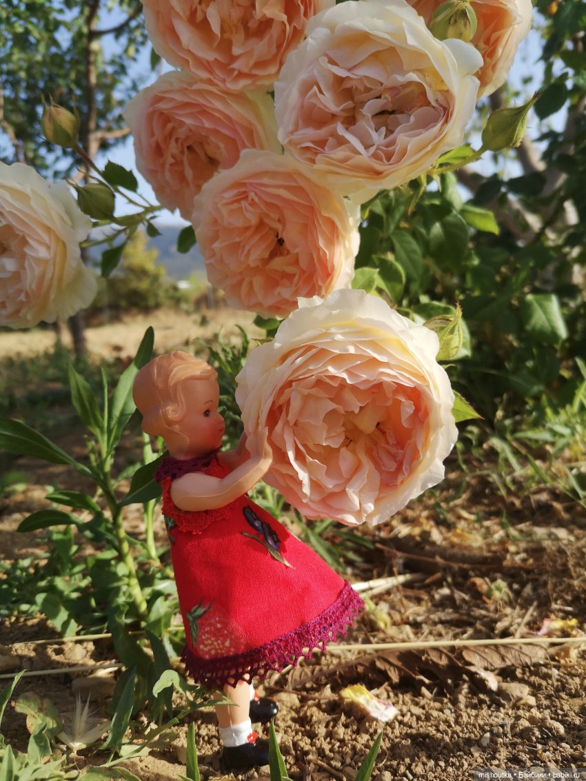 Винтажные инностранцы из Германии (фото 7)