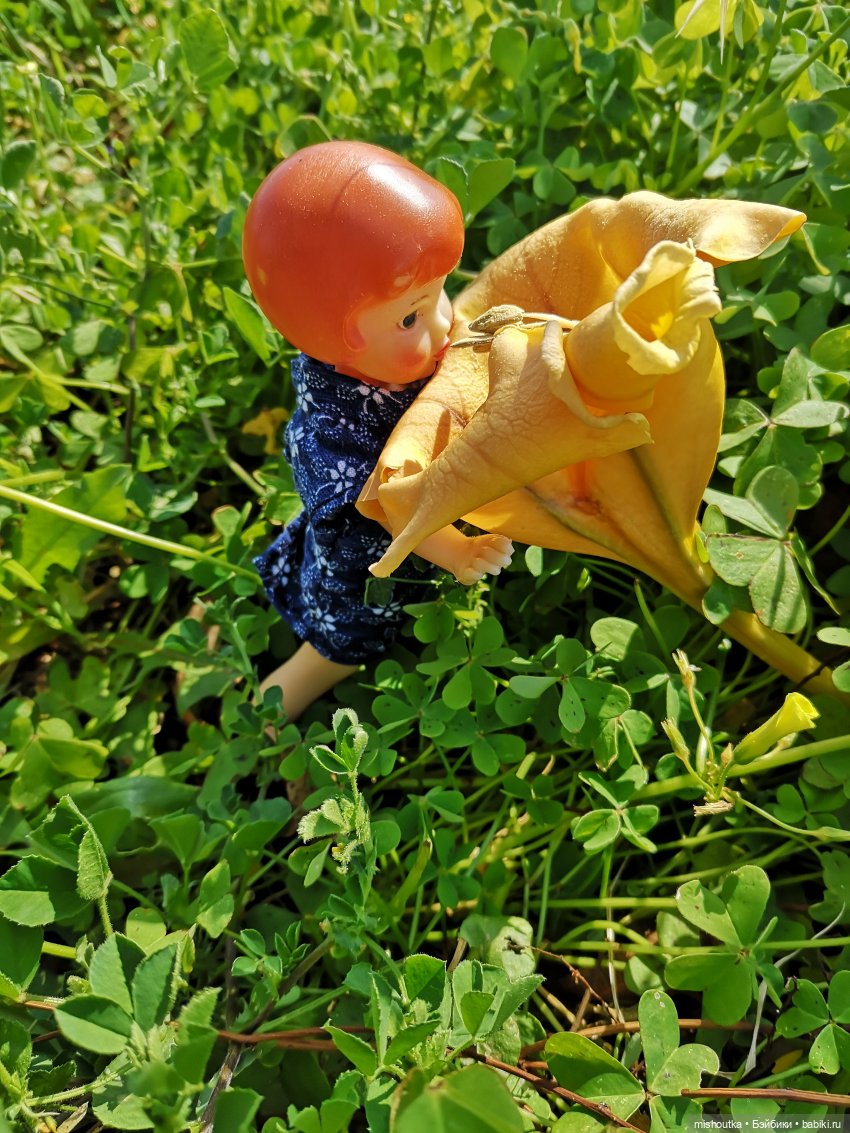 Маленькая куколка Олеся приехала к нам домой | Бэйбики Маленькая куколка Олеся приехала к нам домой