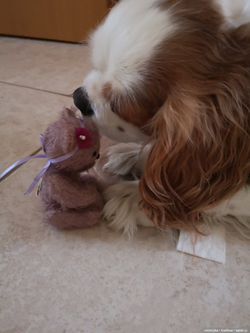 Мишка малышка, в каждом сердце теплится любовь (фото 2)