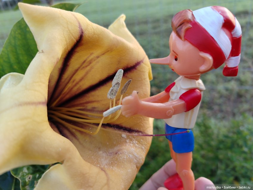 Буратино советский совсем небольшой!) (фото 7)