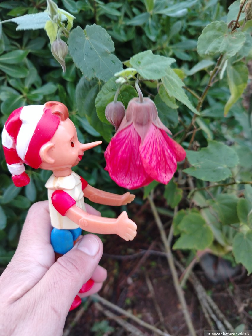 Буратино советский совсем небольшой!) (фото 6)
