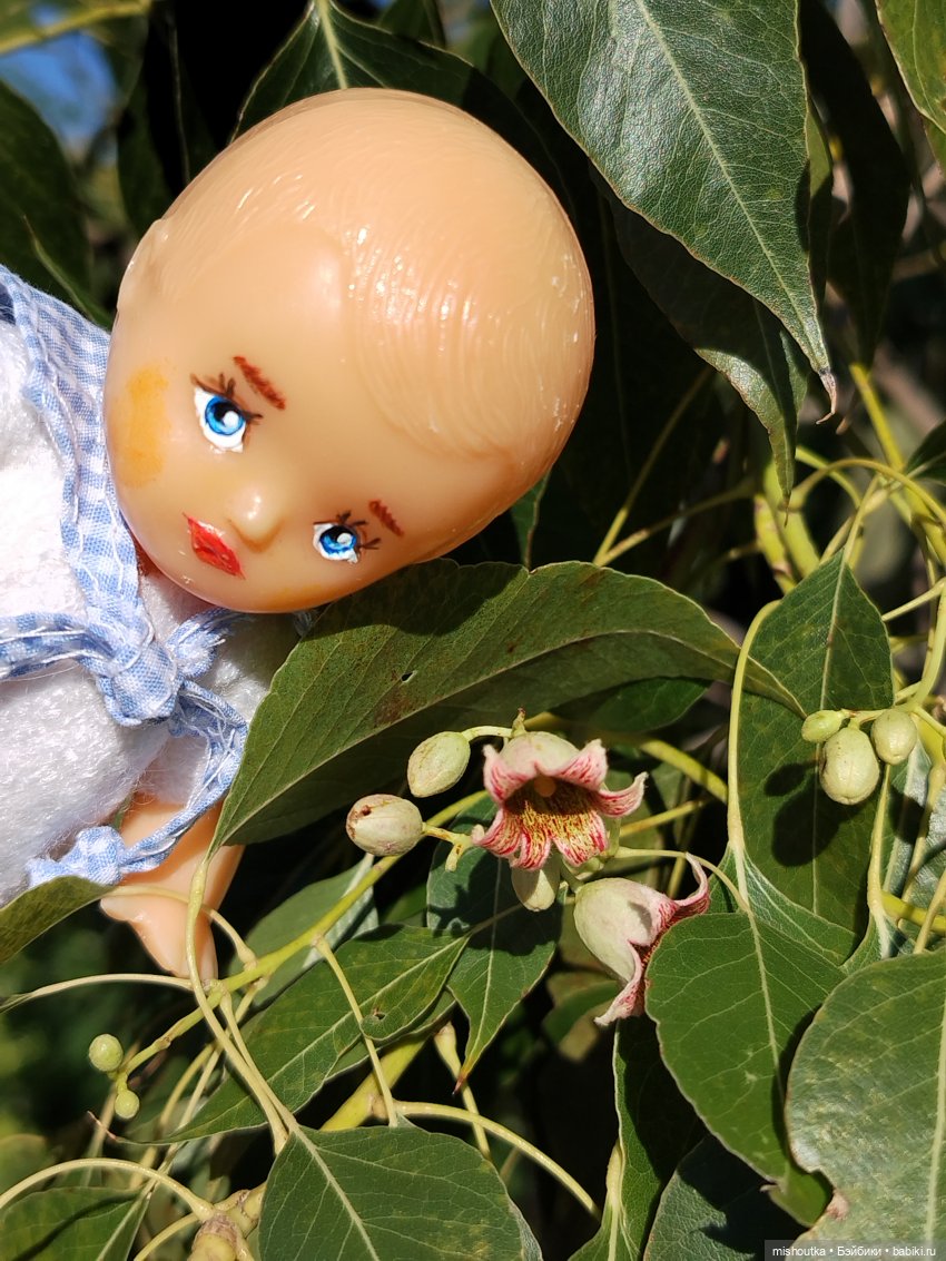Обычный советский пупсик с новым взглядом на мир (фото 6)