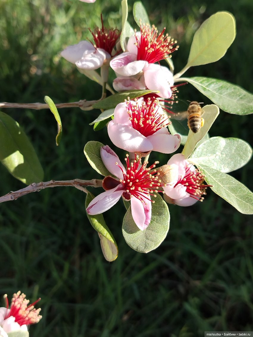 Обычный советский пупсик с новым взглядом на мир (фото 4)