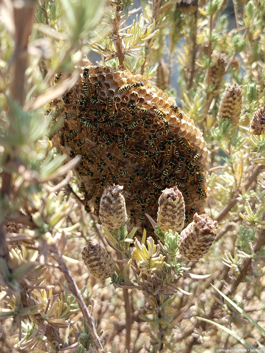 Девочка на качелях — Игрушки СССР и советского детства: резиновые