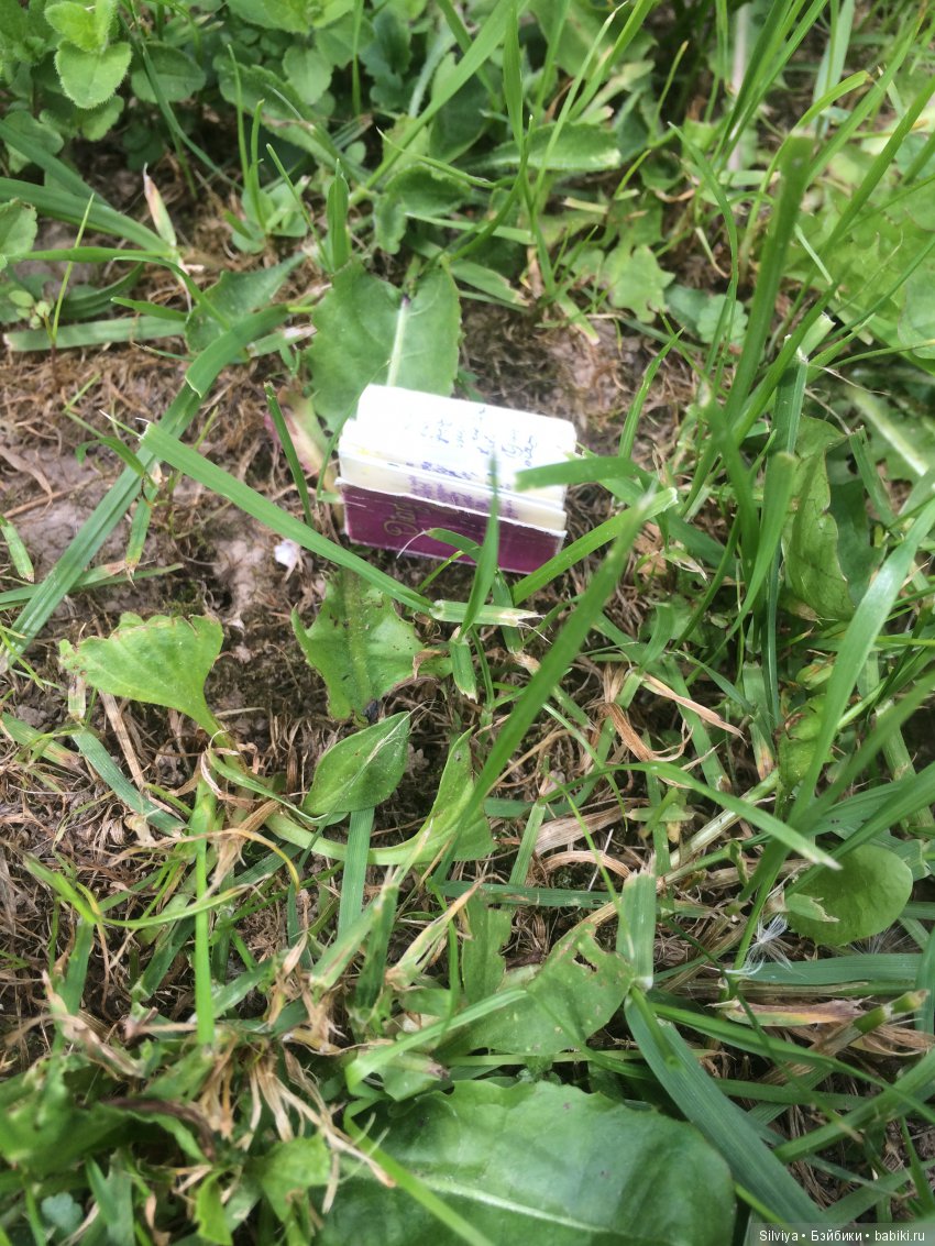 Дневник Келли. Начало — Проба пера: рассказы (фото 2)