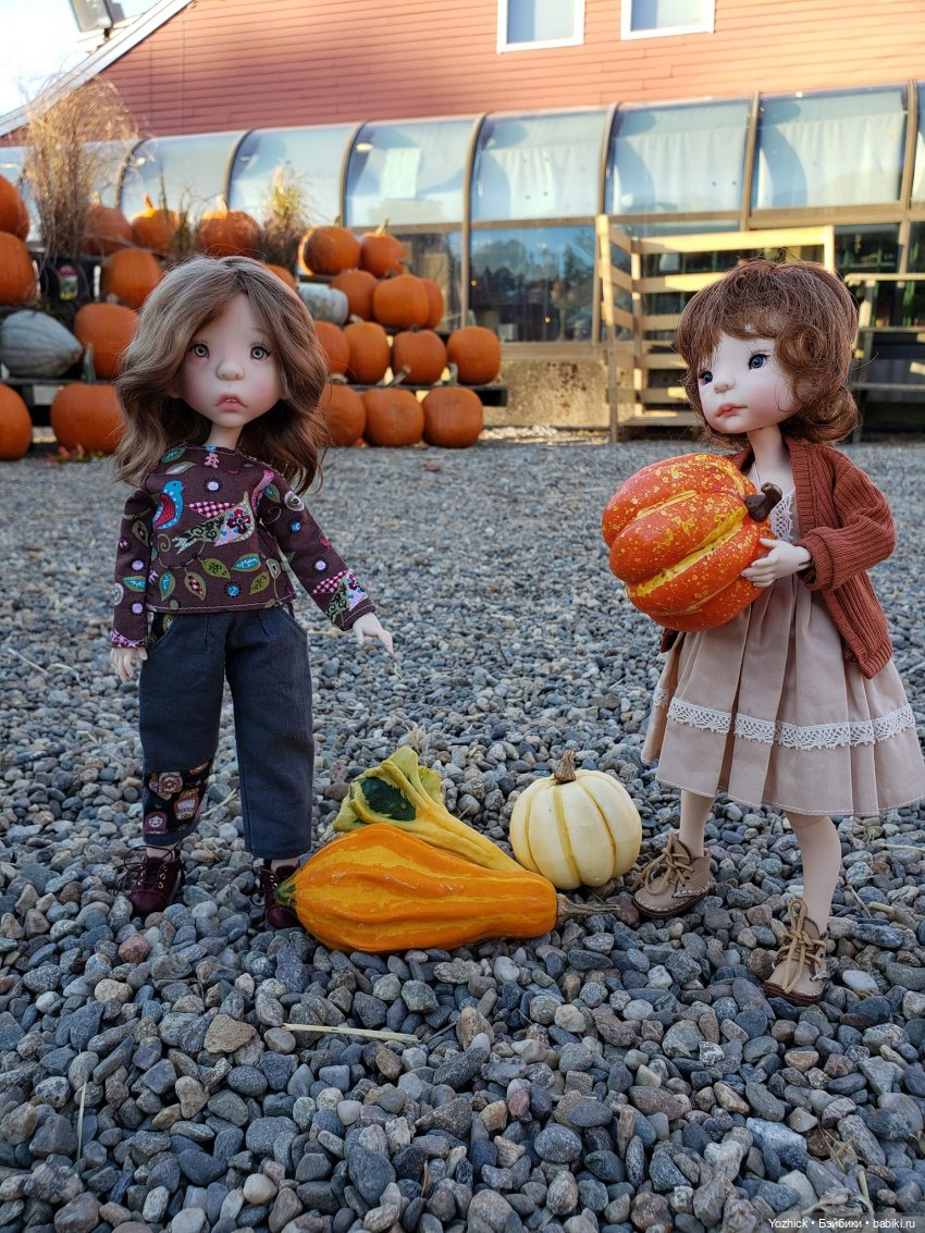 О тыквах... Размышления. Октябрьские покупки с Лилу и Динкой (фото 5)