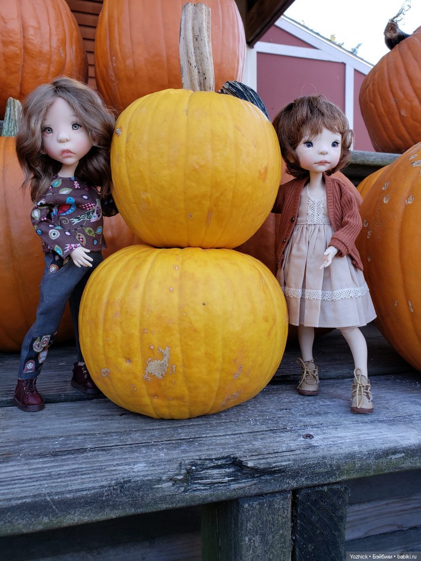 О тыквах... Размышления. Октябрьские покупки с Лилу и Динкой (фото 4)