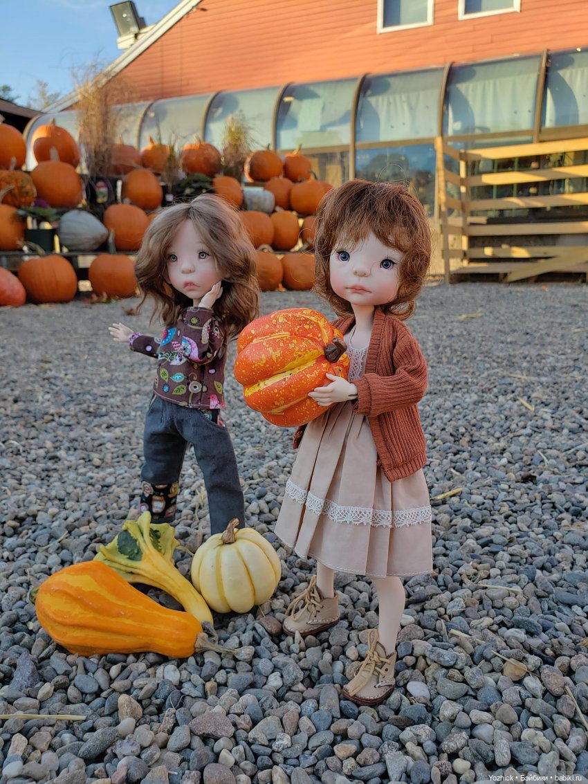 О тыквах... Размышления. Октябрьские покупки с Лилу и Динкой (фото 6)