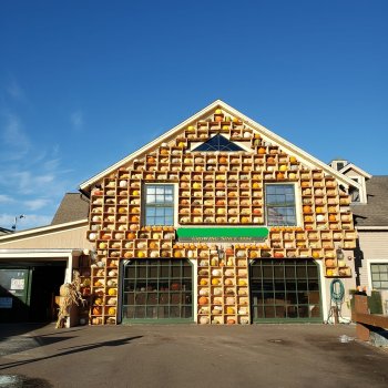 О тыквах... Размышления. Октябрьские покупки с Лилу и Динкой