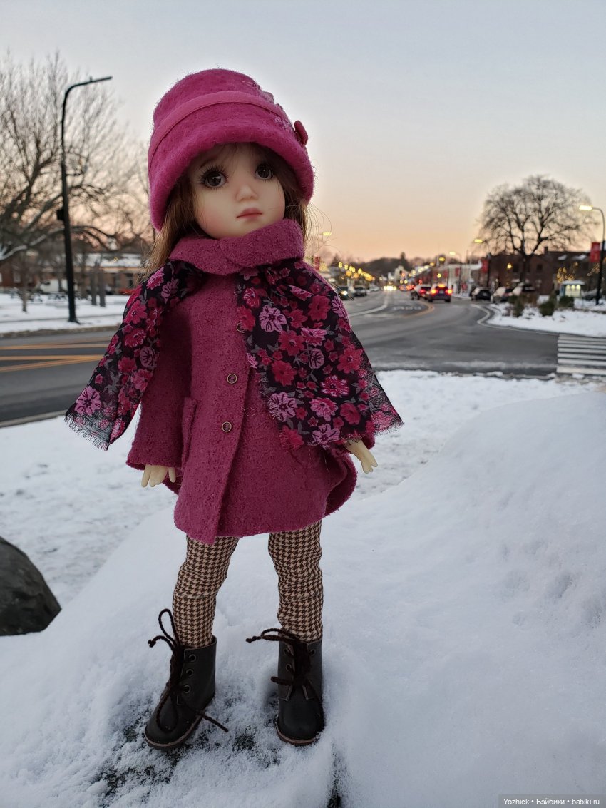 Немножко зимних прогулок в городке и возле дома (фото 4)