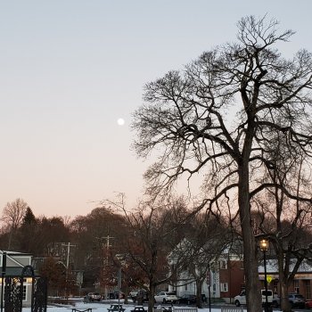 Немножко зимних прогулок в городке и возле дома