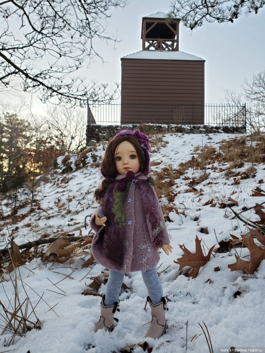 Немножко зимних прогулок в городке и возле дома (фото 5)