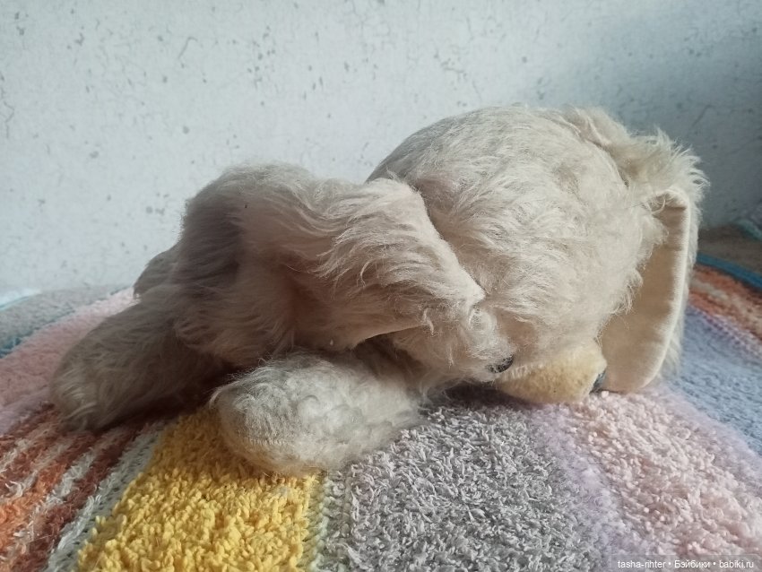 Возвращение Тотошки — Реставрация и преображение кукол: ремонт (фото 2)