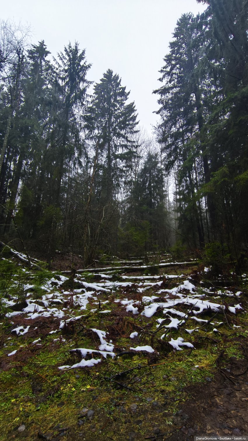 Прогулка цыплёнка | Бэйбики Прогулка цыплёнка — Куклы Dart dolls (Анна Шиткина): российские BJD (БЖД) (фото 4)