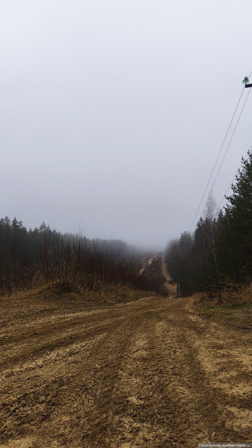 Прогулка цыплёнка — Куклы Dart dolls (Анна Шиткина): российские BJD (БЖД)