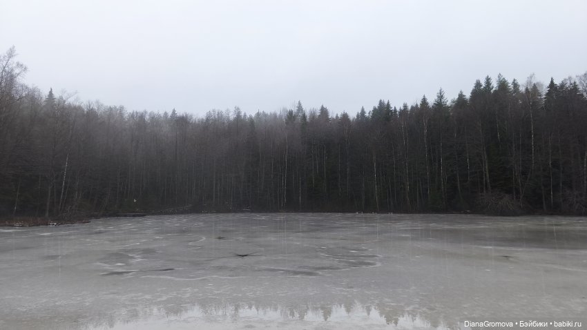 Прогулка цыплёнка | Бэйбики Прогулка цыплёнка — Куклы Dart dolls (Анна Шиткина): российские BJD (БЖД) (фото 8)