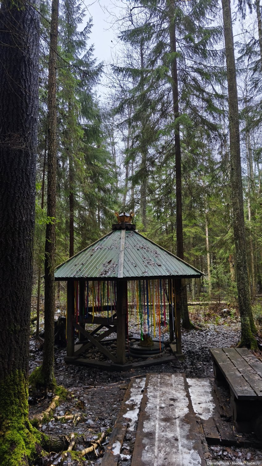 Прогулка цыплёнка | Бэйбики Прогулка цыплёнка — Куклы Dart dolls (Анна Шиткина): российские BJD (БЖД) (фото 9)