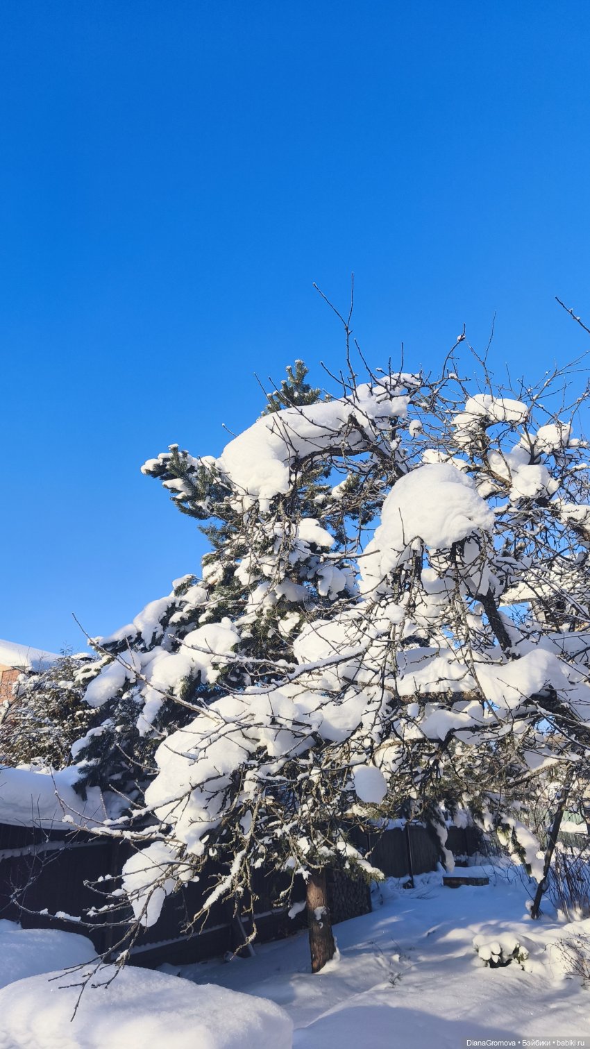 Поездка загород — Авторские куклы BJD (БЖД) у нас дома: фото