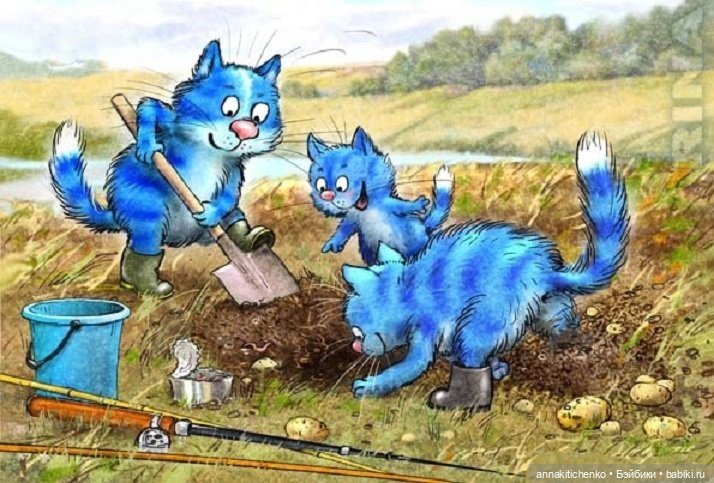 Котофеевка — Интересное и необычное: фотоподборки