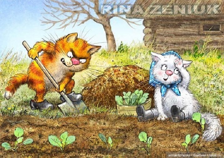 Котофеевка — Интересное и необычное: фотоподборки