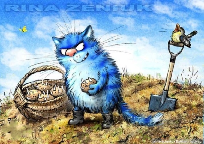 Котофеевка — Интересное и необычное: фотоподборки