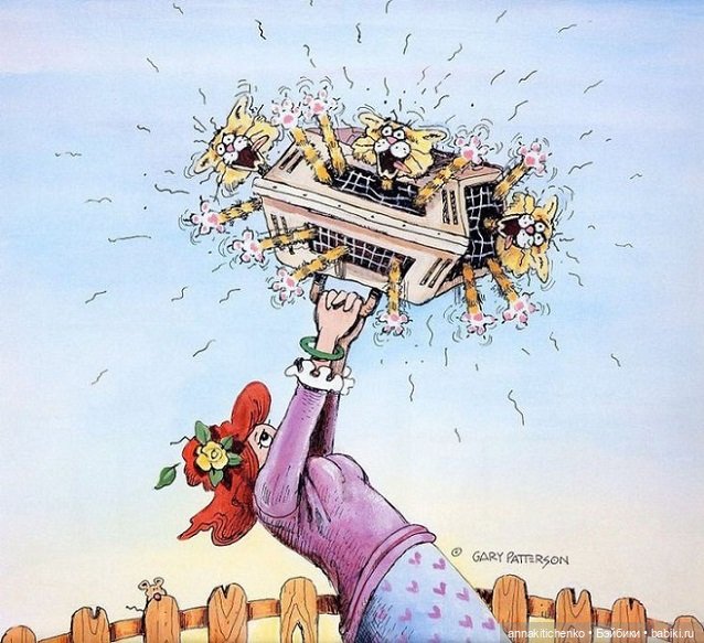 Создатель улыбок Гэри Паттерсон (Gary Patterson)