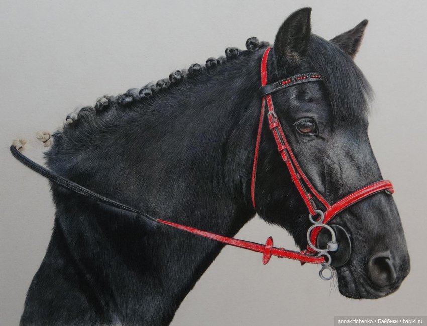 Гиперреалистичные портреты животных от Bonny Snowdon