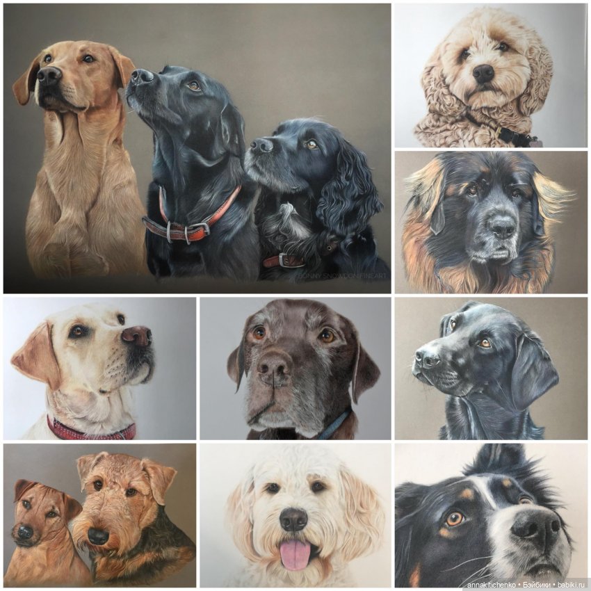 Гиперреалистичные портреты животных от Bonny Snowdon (фото 5)