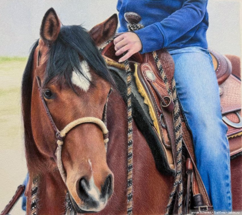 Гиперреалистичные портреты животных от Bonny Snowdon