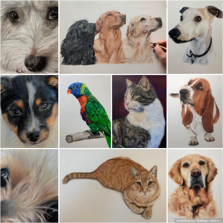 Гиперреалистичные портреты животных от Bonny Snowdon (фото 6)