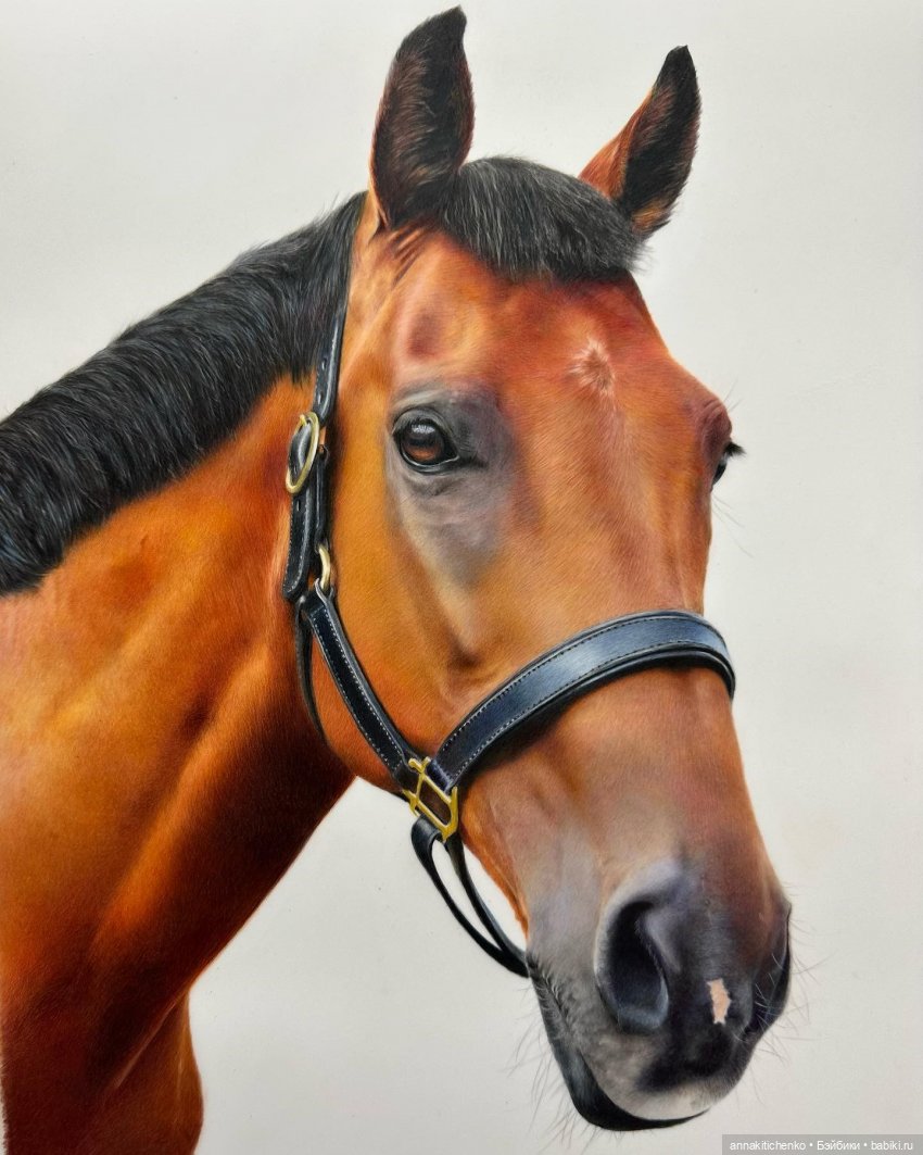 Гиперреалистичные портреты животных от Bonny Snowdon (фото 7)