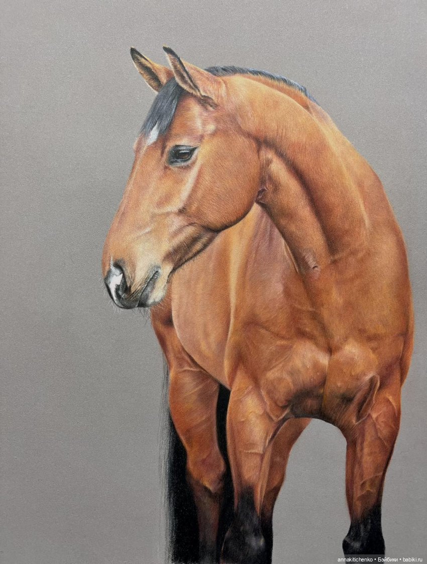 Гиперреалистичные портреты животных от Bonny Snowdon (фото 10)