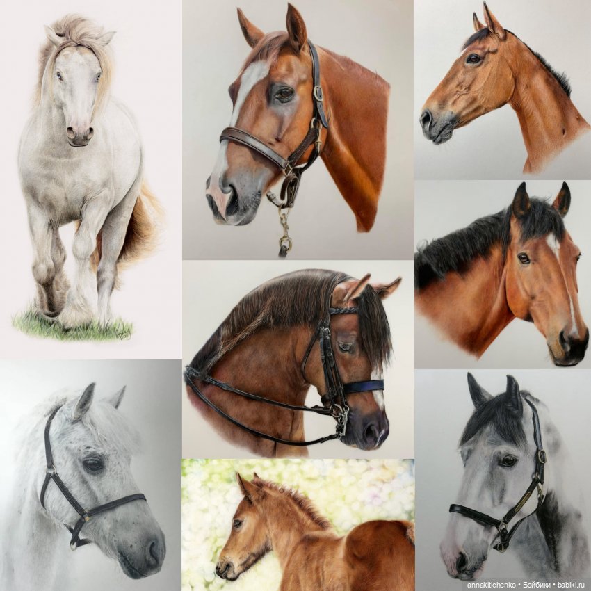 Гиперреалистичные портреты животных от Bonny Snowdon