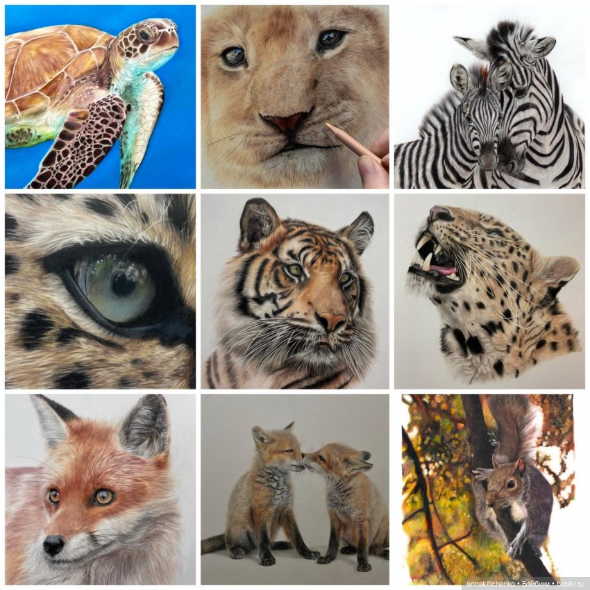 Гиперреалистичные портреты животных от Bonny Snowdon (фото 2)