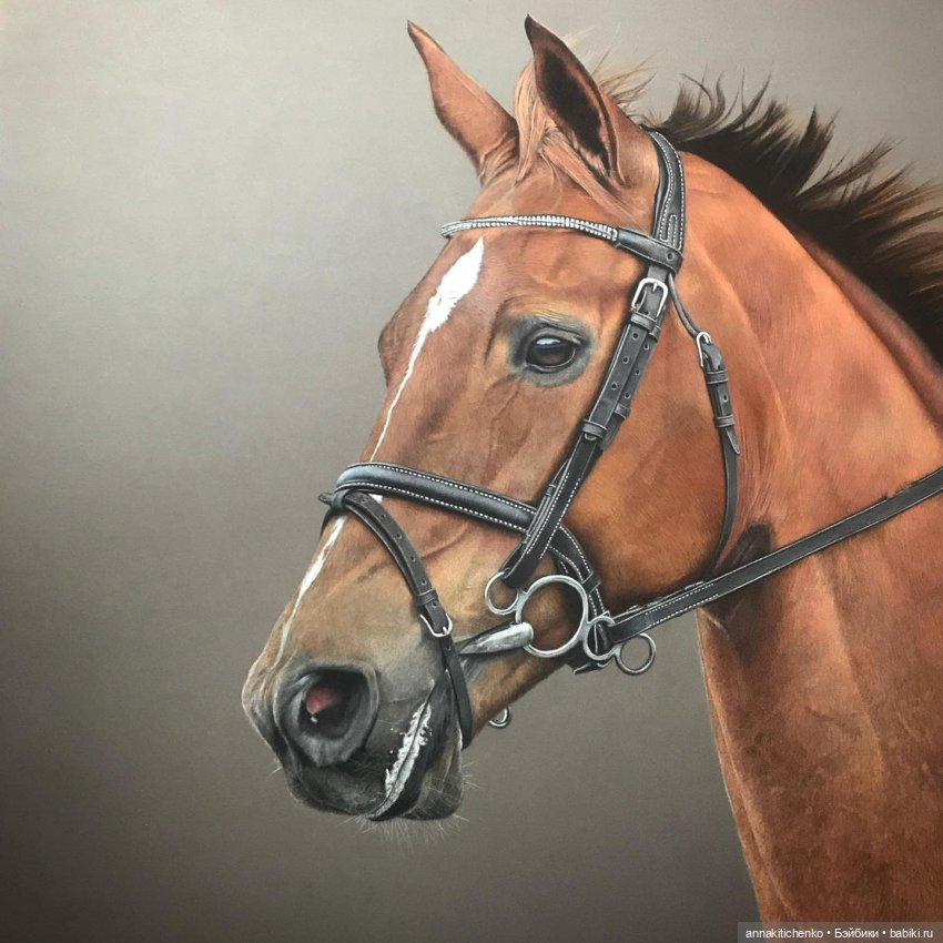 Гиперреалистичные портреты животных от Bonny Snowdon (фото 8)