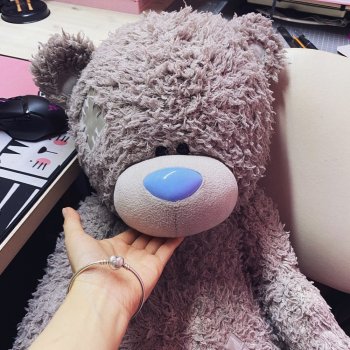 Мои медвежата