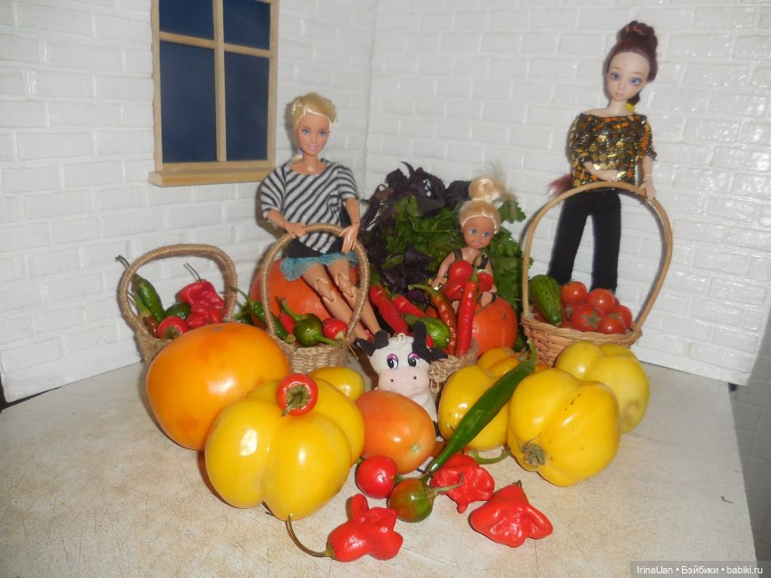 Наш урожай!