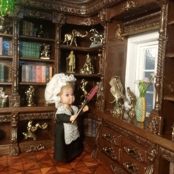 Фотосессия книжного шкафа и  новой люстры