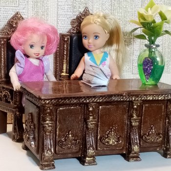 Письменный стол и кабинетное кресло