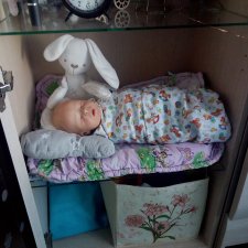 Где живут ваши куклы реборн?