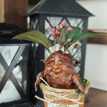 Корень Мандрагоры